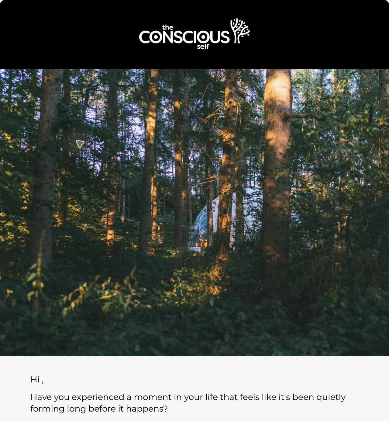 Original sent email excerpt: The Conscious Self logo, its dome among woodland trees, and the opening of the announcement